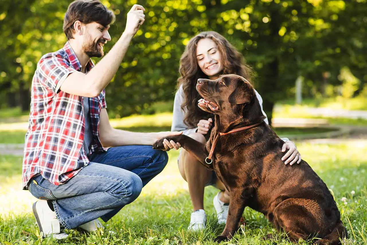 4 Ways to Control Your Dog’s Barking Behavior